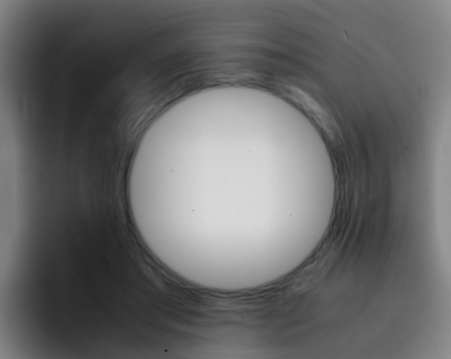 X0000093100405200709260931