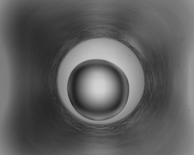 X0000093100407200709260931