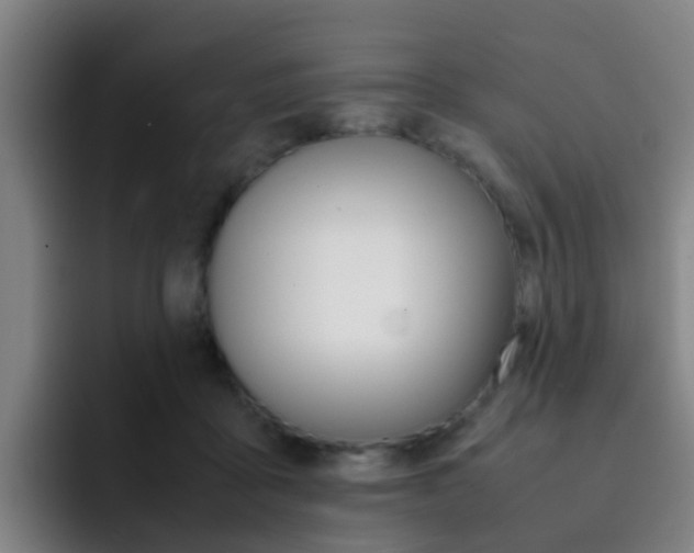 X0000093100411200709260931