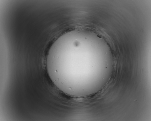 X0000093100419200709260931