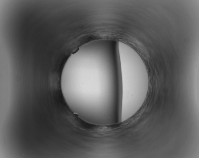 X0000093100421200709260931