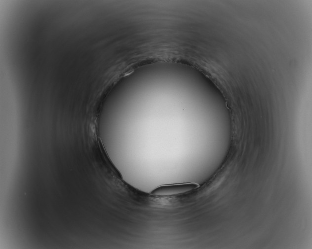 X0000093100432200709260931
