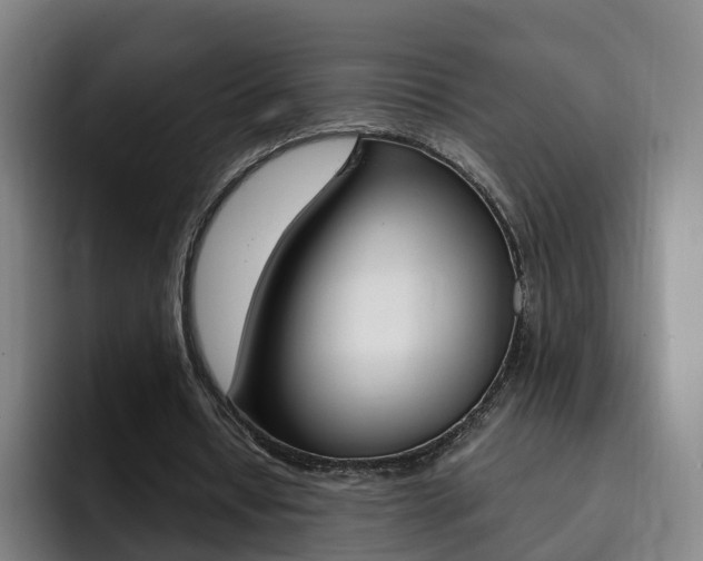 X0000093100434200709260930