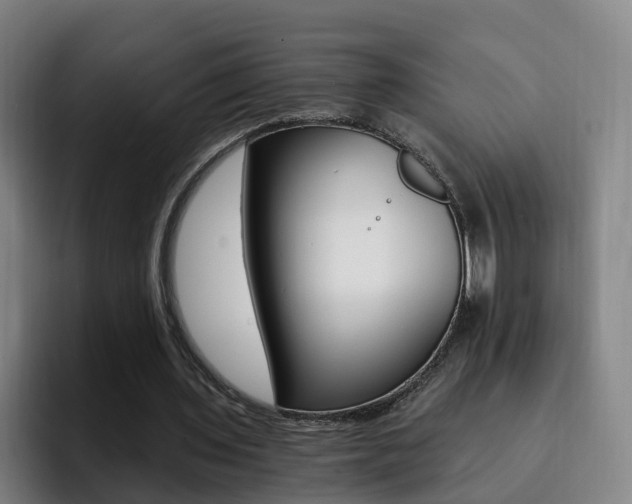 X0000093100435200709260930