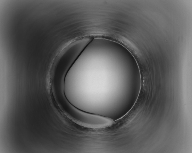 X0000093100436200709260930