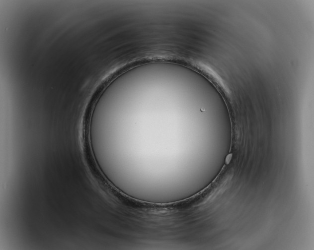 X0000093100439200709260930
