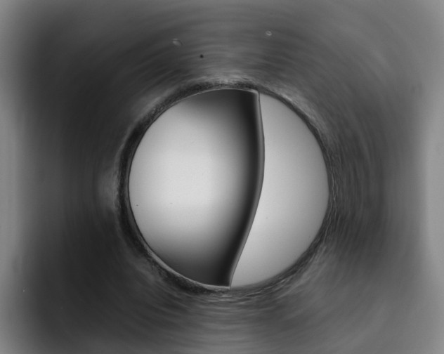 X0000093100440200709260930