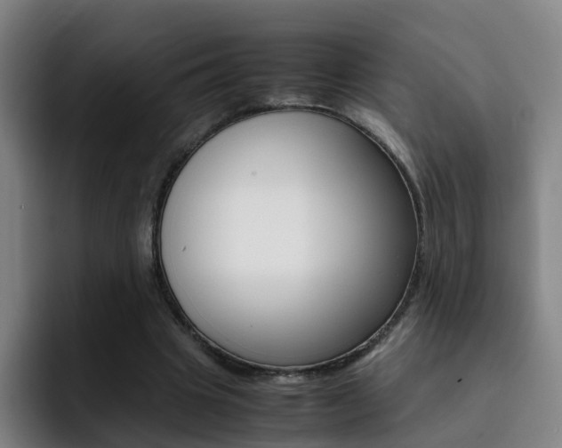 X0000093100441200709260930