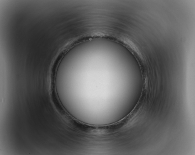 X0000093100444200709260930