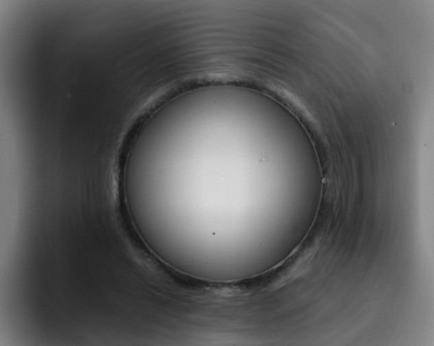 X0000093100446200709260930