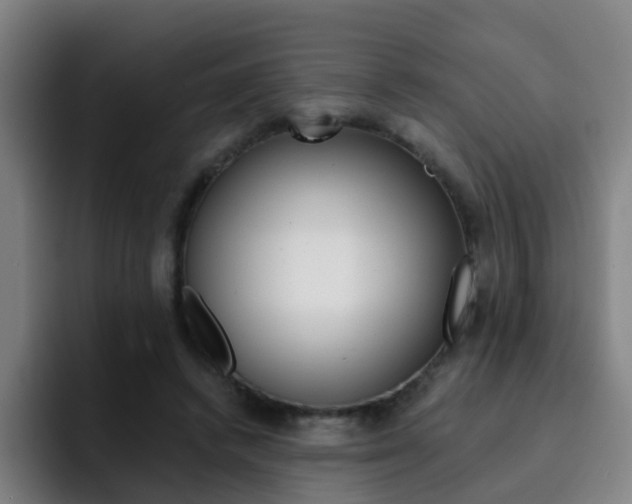X0000093100448200709260930