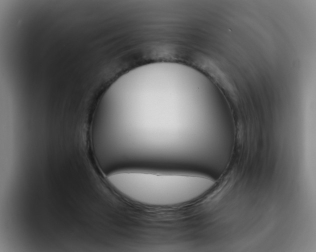 X0000093100449200709260930