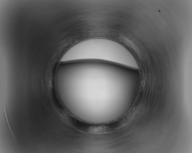 X0000093100452200709260930