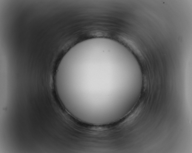 X0000093100453200709260930