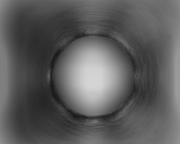X0000093100454200709260930