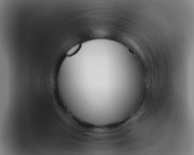 X0000093100455200709260930