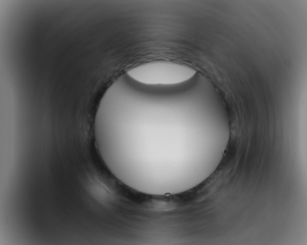 X0000093100464200709260930