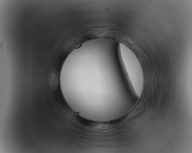 X0000093100471200709260931