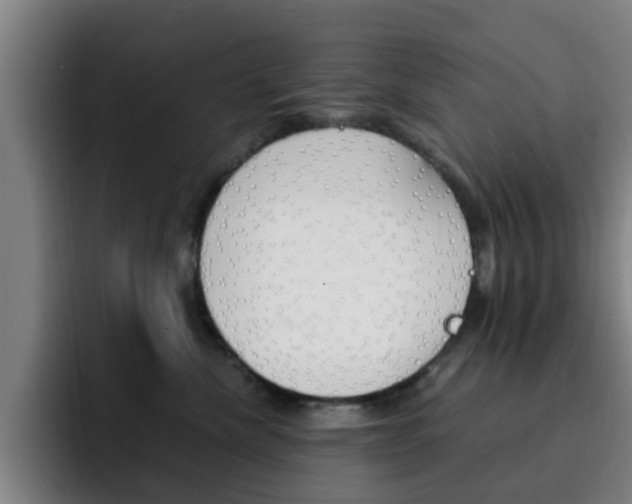 X0000093100476200709260931
