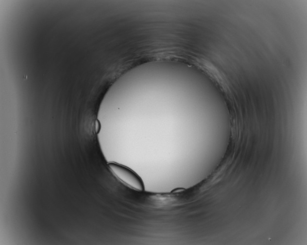 X0000093100477200709260931