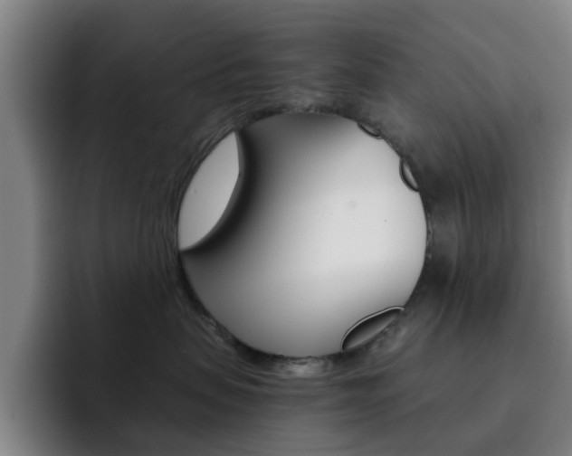 X0000093100479200709260931