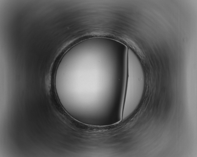 X0000093100484200709260930