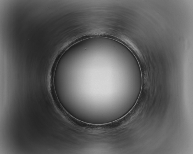 X0000093100485200709260930