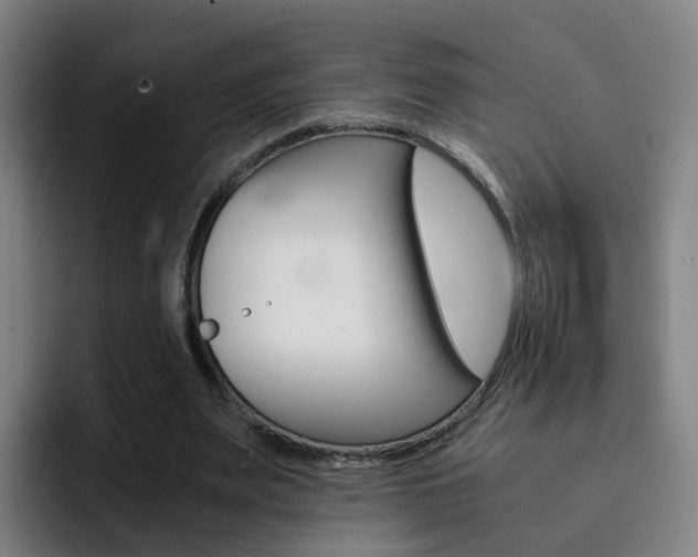 X0000093100487200709260930