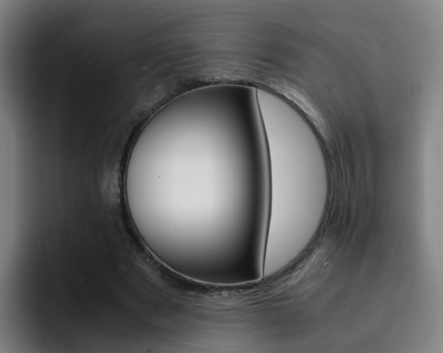 X0000093100489200709260930