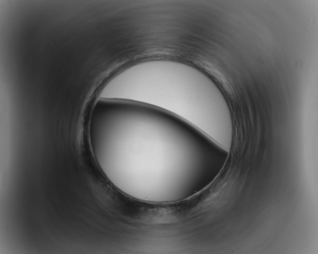 X0000093100492200709260930