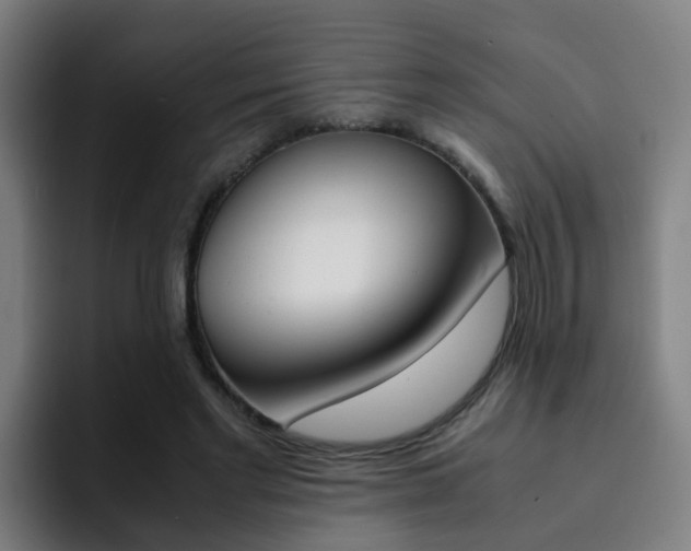 X0000093100493200709260930