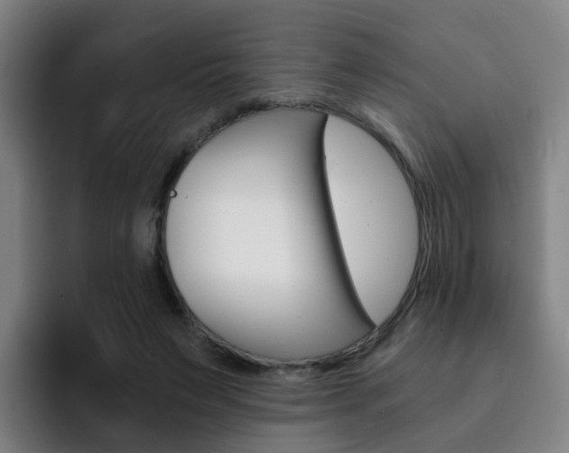 X0000093100495200709260930