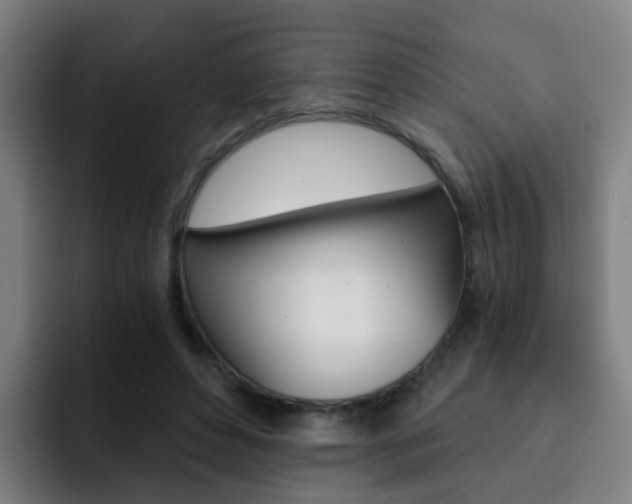 X0000093100496200709260930