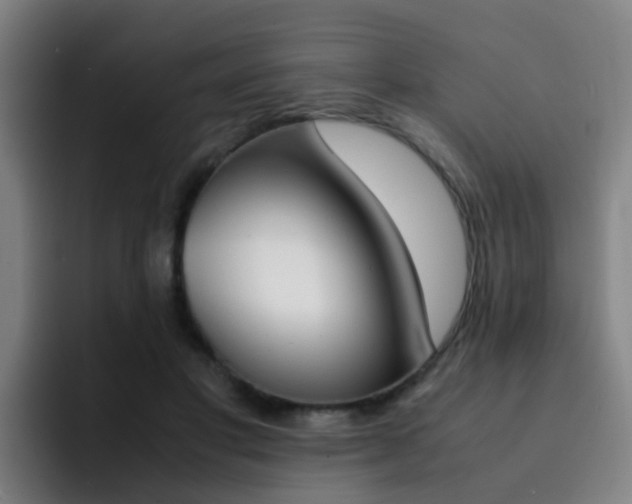 X0000093100501200709260930
