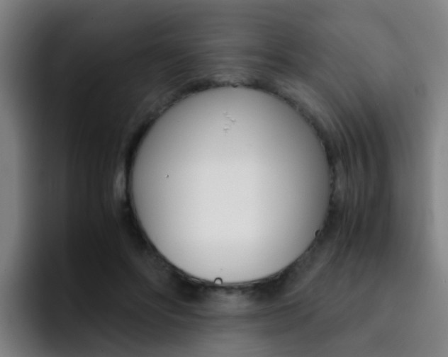 X0000093100502200709260930