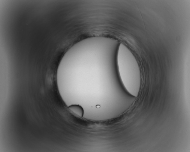 X0000093100503200709260930