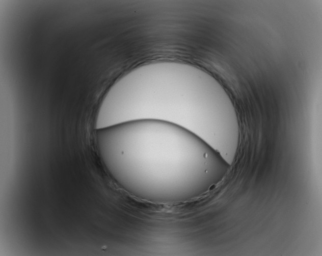 X0000093100504200709260930