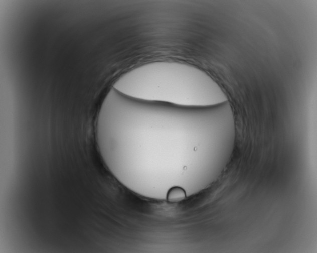 X0000093100511200709260930