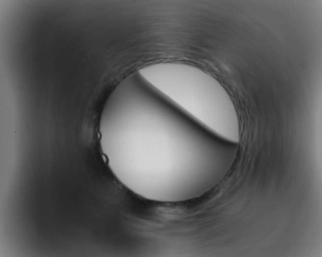 X0000093100515200709260930