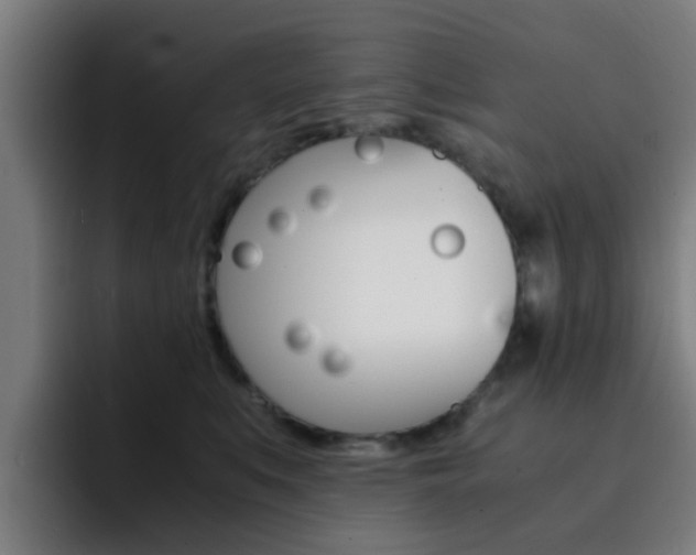 X0000093100519200709260930