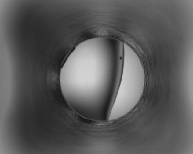 X0000093100521200709260930