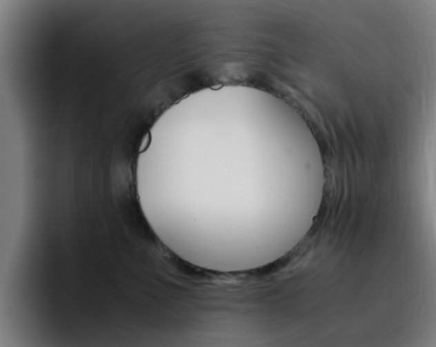 X0000093100523200709260930