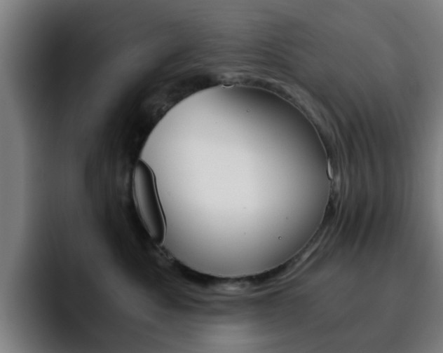 X0000093100525200709260930