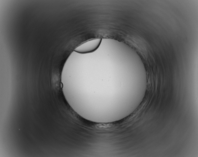 X0000093100526200709260930