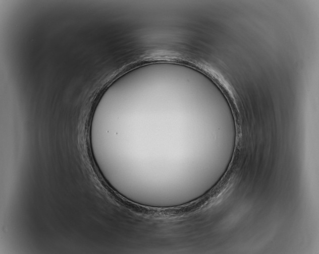 X0000093100529200709260929