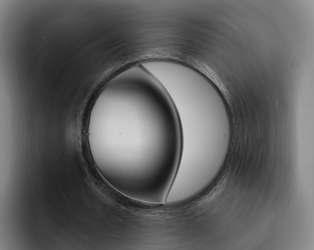 X0000093100530200709260929