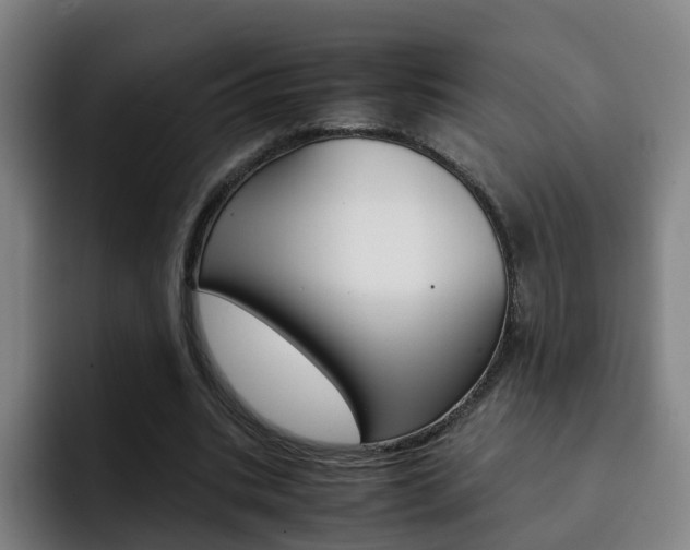 X0000093100535200709260929