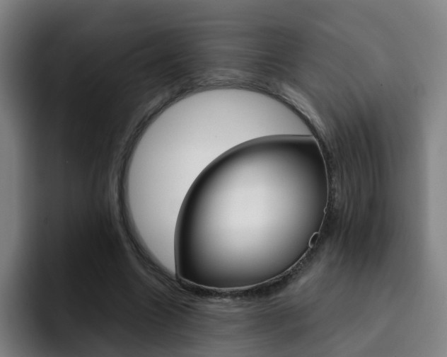 X0000093100538200709260929