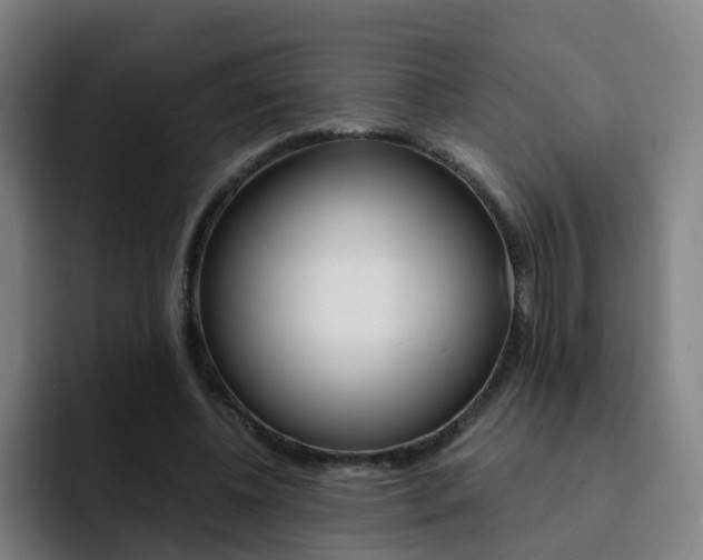 X0000093100540200709260929