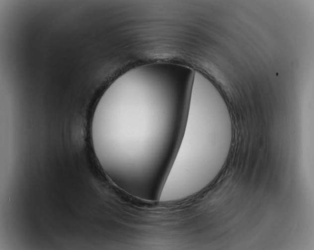 X0000093100544200709260929